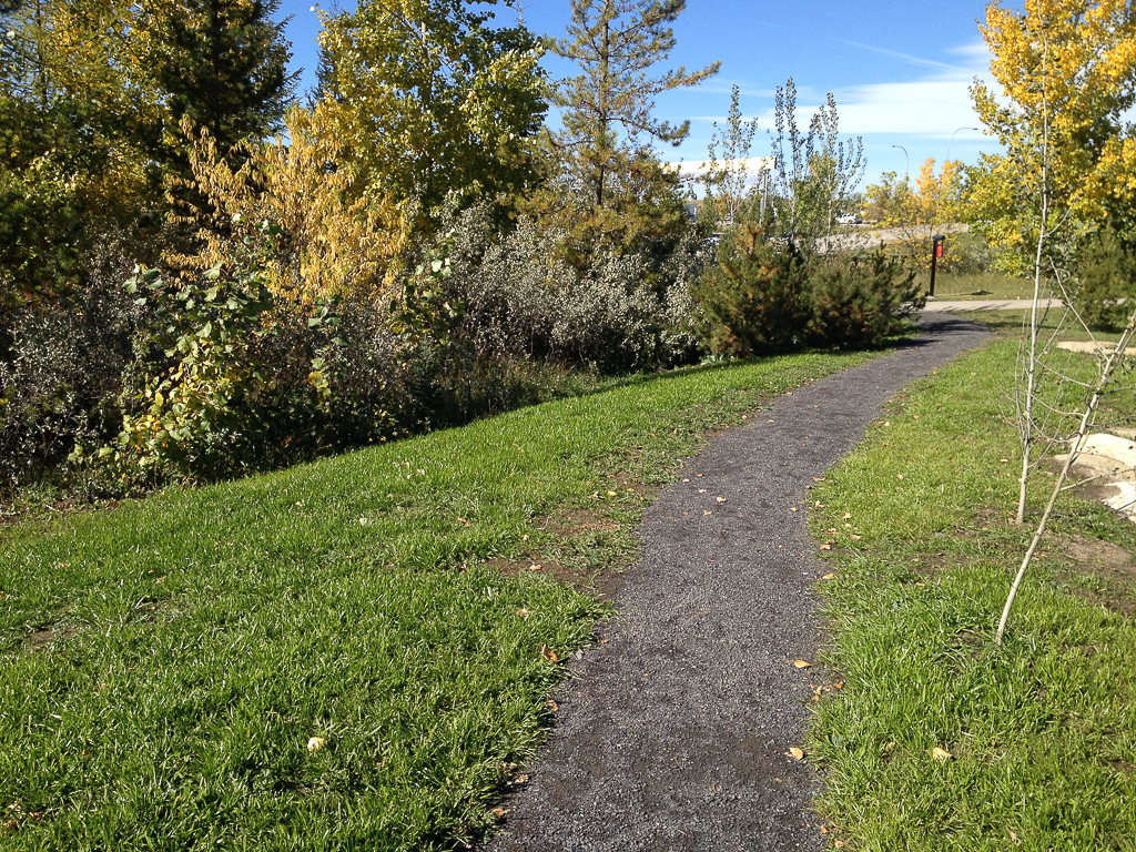 Native Grasses; Cochrane Riverfront Park