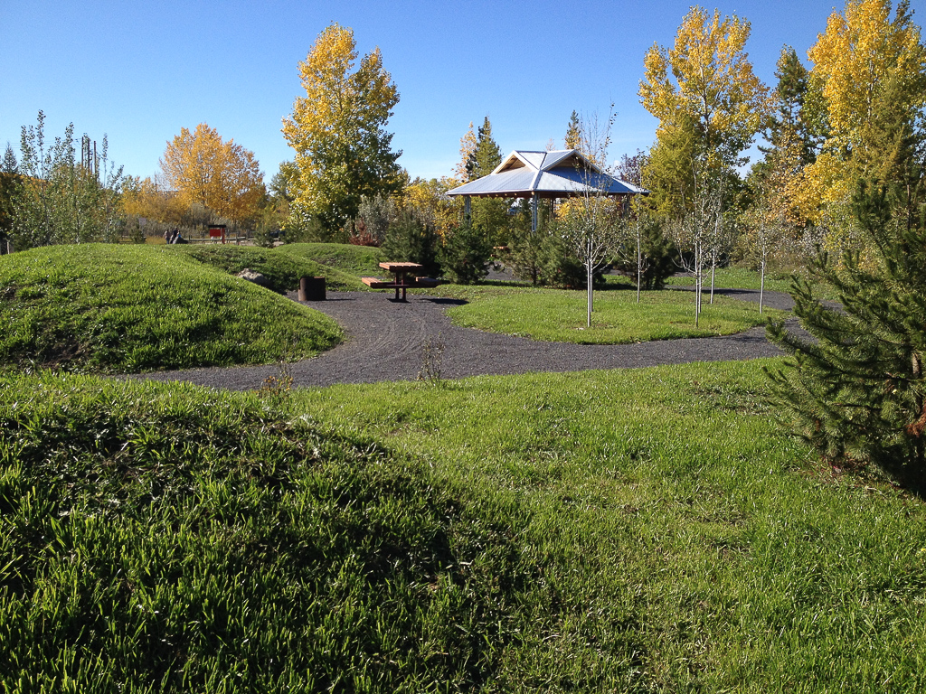 Native Grasses; Cochrane Riverfront Park